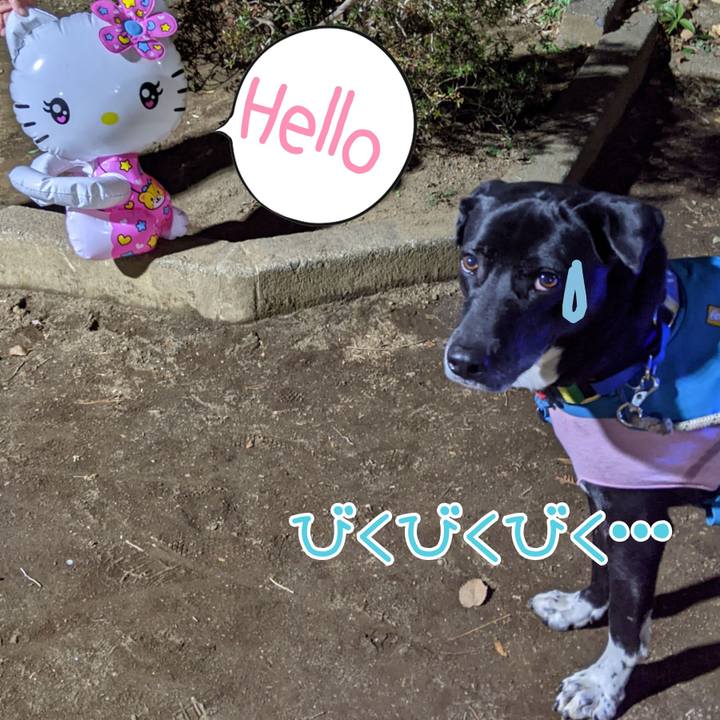 5c9349c6 c3d7 41df 8ec0 e405946deda2 1676804974800