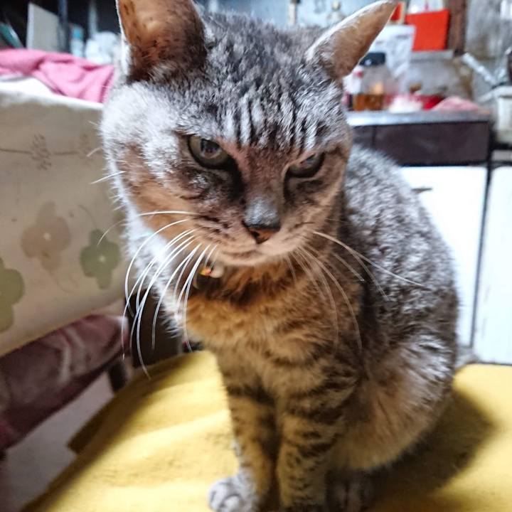 5c934b53 b32b 4751 b03d fb5845ed0228 1602794181171