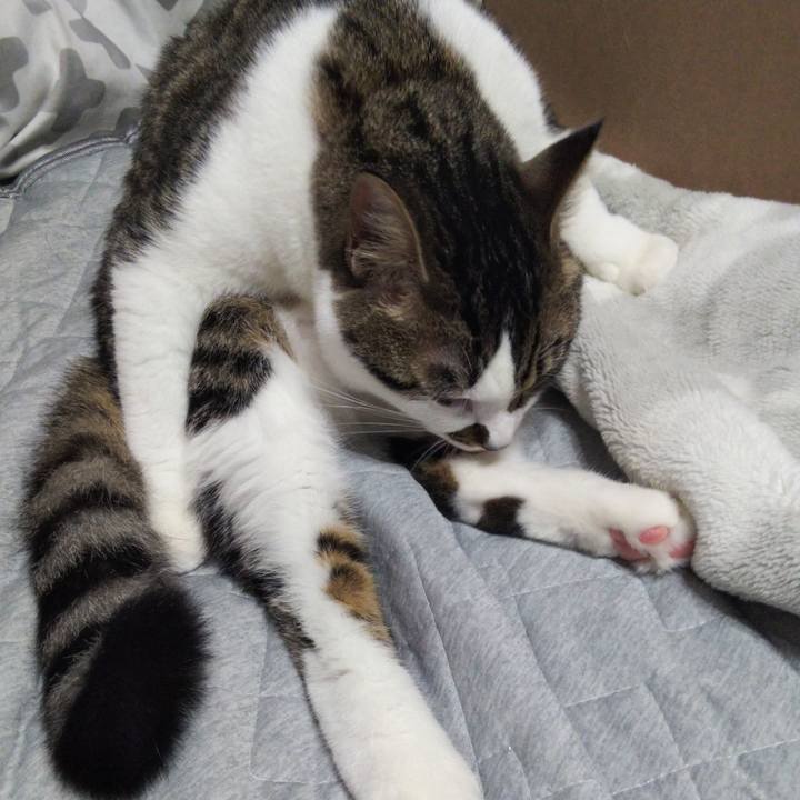 5c934ce1 0d51 4aa0 9bbd 9de8e14c8054 1630218004549