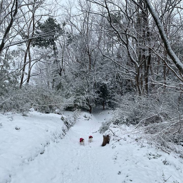 5c934d06 54c6 417f 9c04 4883509fb16b 1738883950224