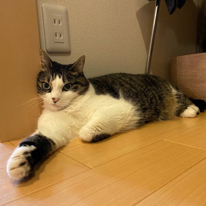 5c935bc4 017f 4eee bdcd ef5e8183456f 1632717164914