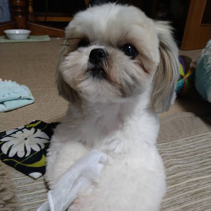 5c9360f8 dc24 4895 8fed 4913f7f7fca4 1619048337197