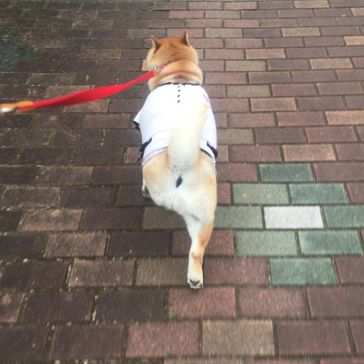 5c9380db 4fb7 4704 a365 18fc588fd410 1575590950915