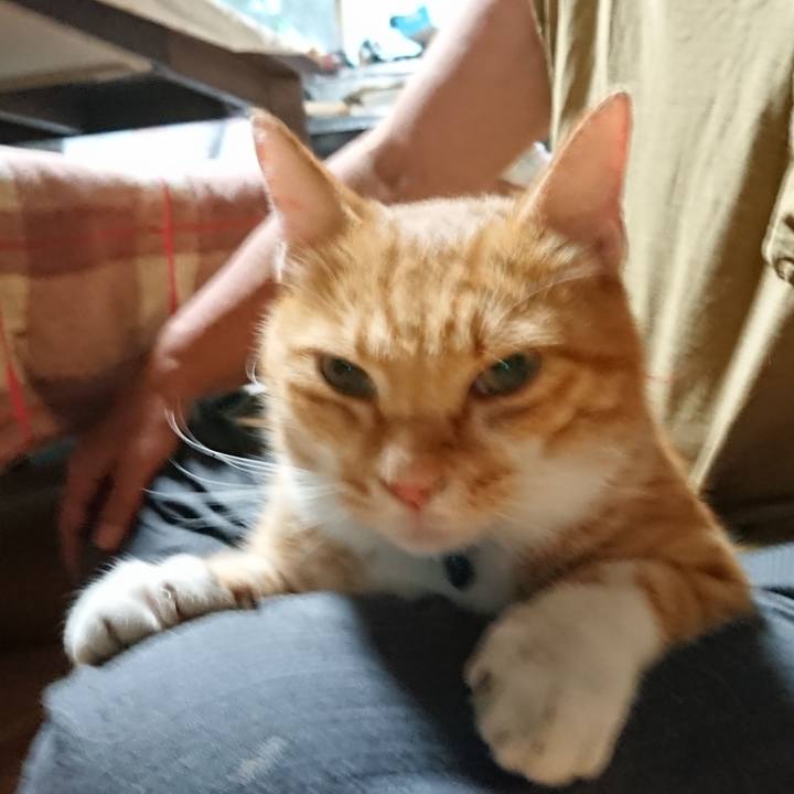 5c93b151 58be 40a6 b861 f0fe68631c81 1599424691644