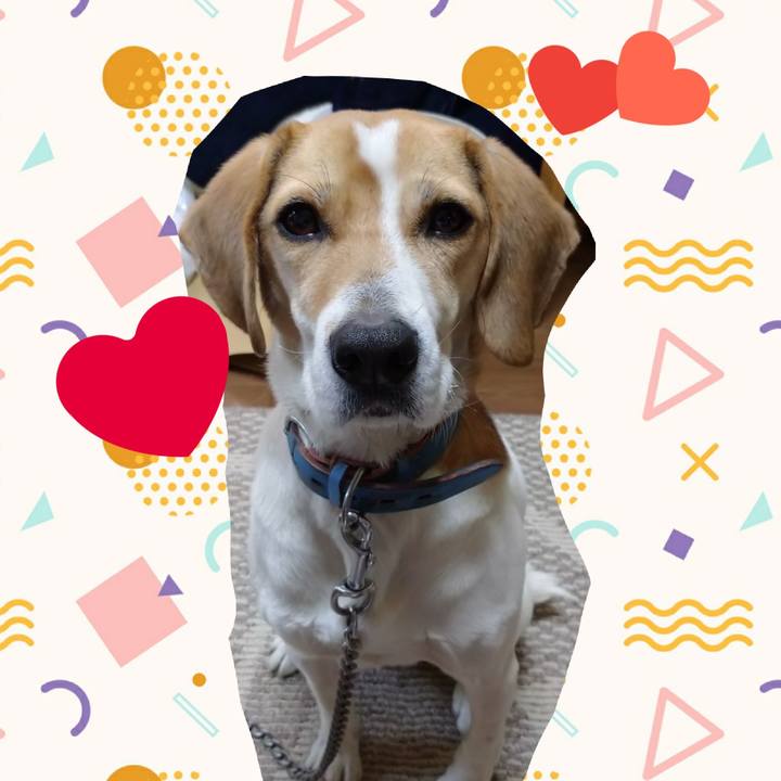 5c93f427 cd51 4092 8cdf dfa1699c87c5 1614150998884