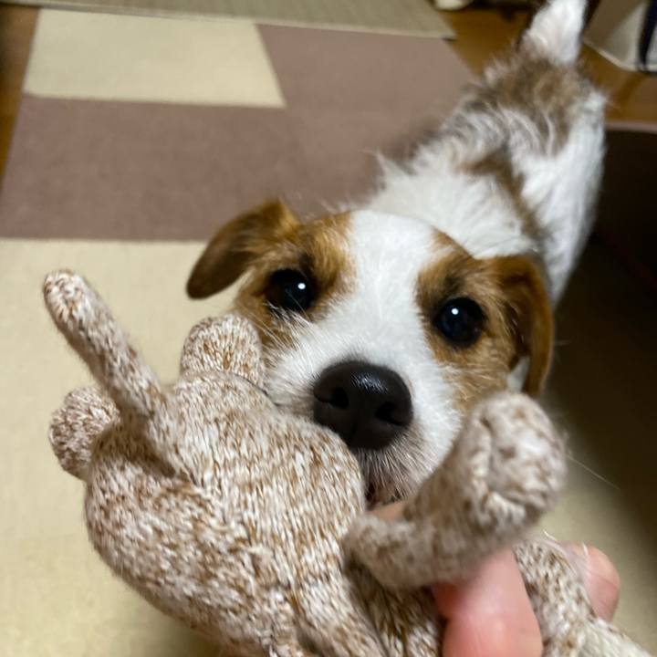 5c9402f8 29e1 4af2 9f0a 591242ec6ec2 1664055205900