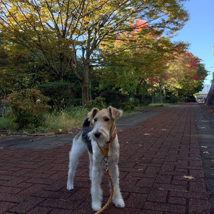 5c941514 411e 4b17 97e0 677a43c8b9ca 1762649241837