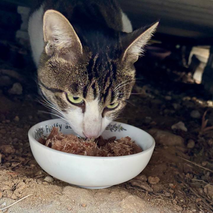 5c9427cb 325d 4089 aa7b b6ad0475e8cc 1763610151820