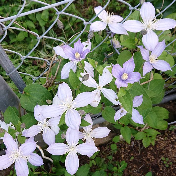 5c945f9b fd89 4259 a10e f4cda2fef8ef 1660036327515