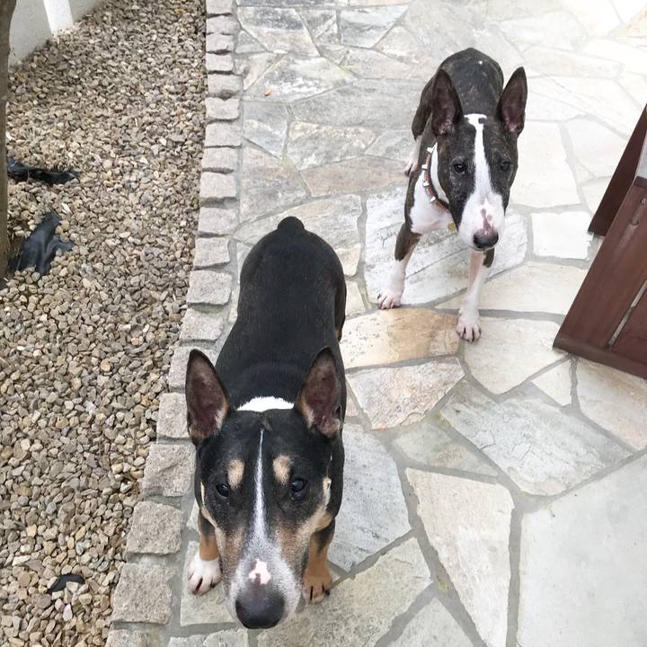 5c9464fb 00b0 409c 9b8c 85c10d3378ee 1523087366154