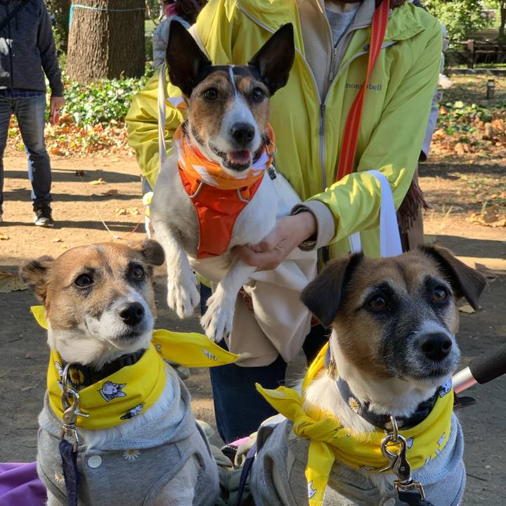 5c94709e 65e9 42e1 a345 8fa2fc5e6dc2 1647214700108