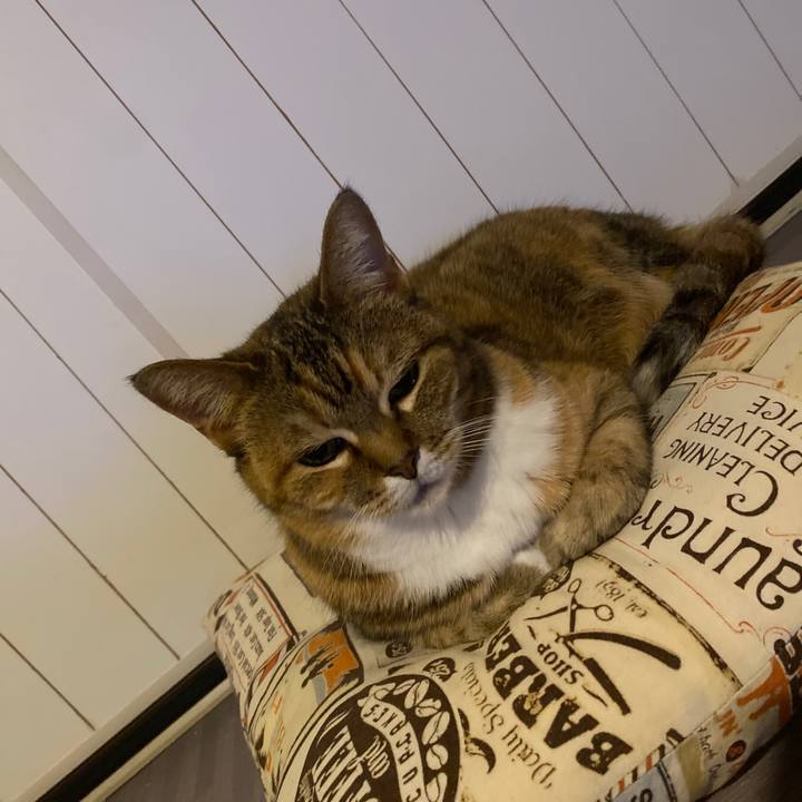 5c9480cc a0d5 47f7 8306 99781f9a2d2d 1683460647804