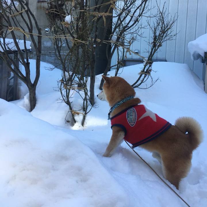 5c94a1e8 39a4 4dc0 b190 6620e03ed71e 1519379301727