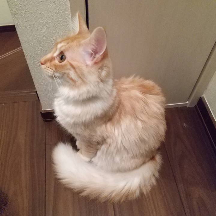 5c94bc6a 6704 4dfa a305 fd4d2808546f 1617363682027