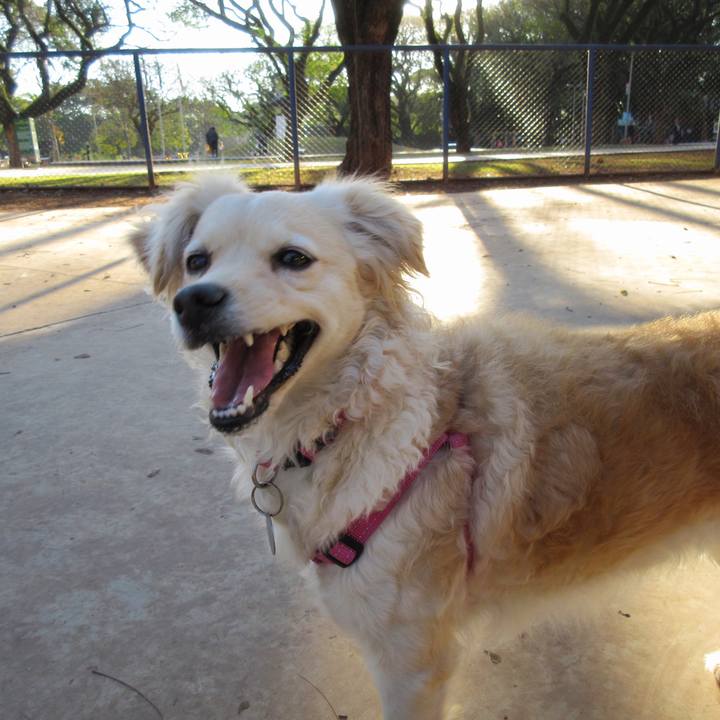 5c951695 a52a 482a 90ec 3c60489d0c3d 1534210903944