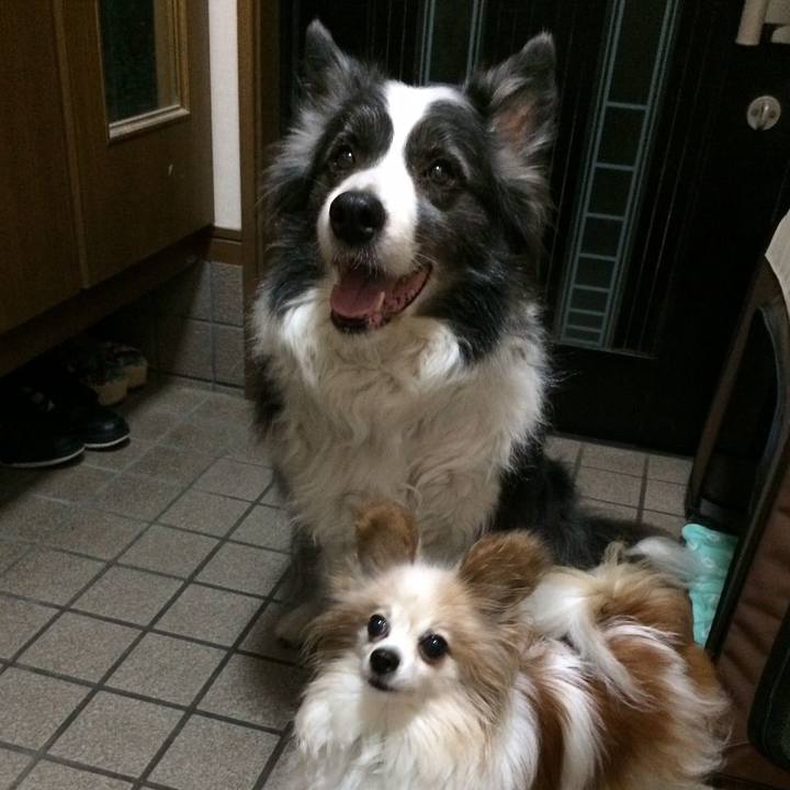 5c9542de 5b3a 4a65 8c57 1d62388d2be5 1767606552515