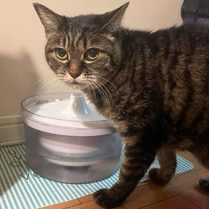 5c9565db a650 4b58 bc8c d3b90a48343f 1765678858511