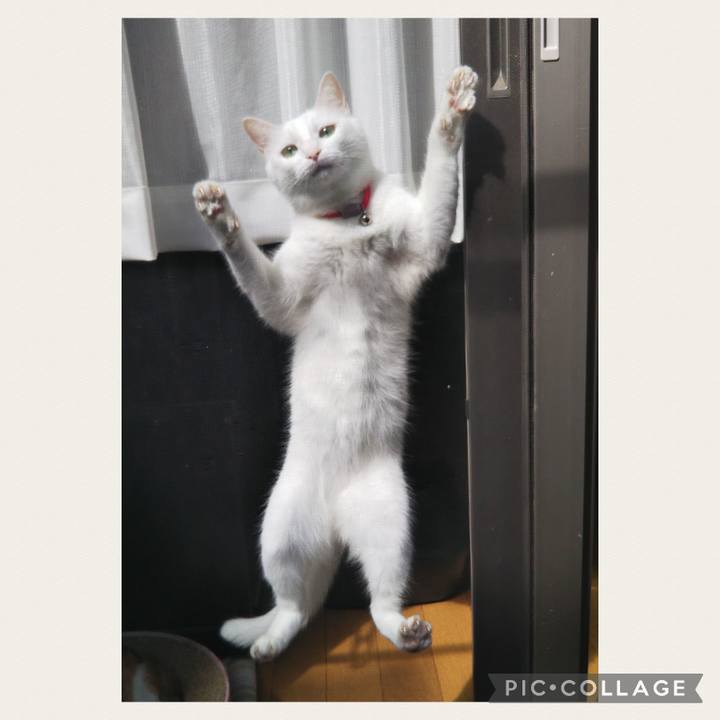 5c9568a9 87bd 4872 be8c 55c9b6e2a9f8 1695789593602