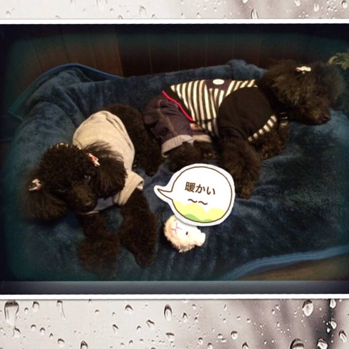 5c957725 cb12 458f b422 96c3ef9b5f6e 1574383890291