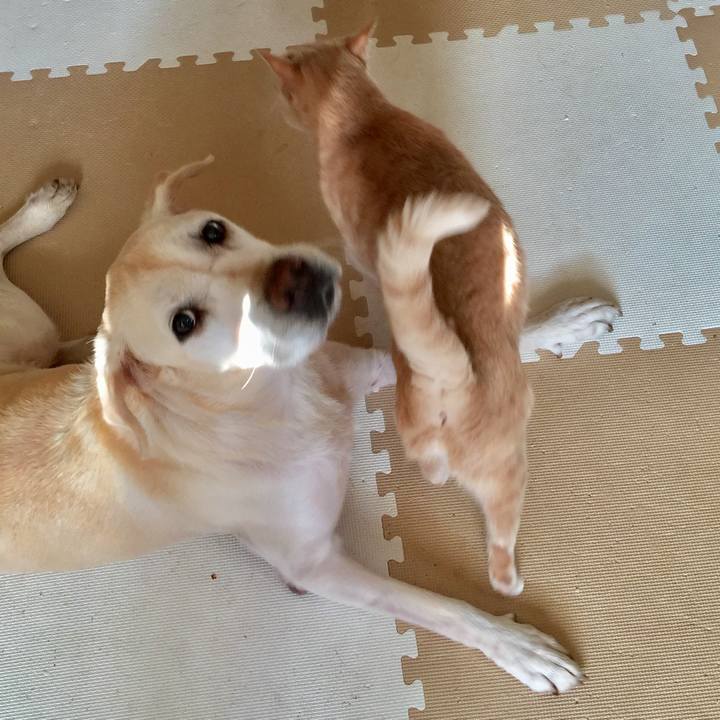 5c95d95e 66f1 466a 80cc 670aaf63d831 1567594860343