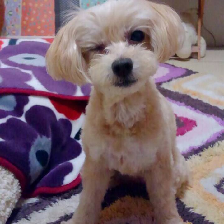 5c95f4fb db51 4721 85b6 cb47e8178186 1560940341494