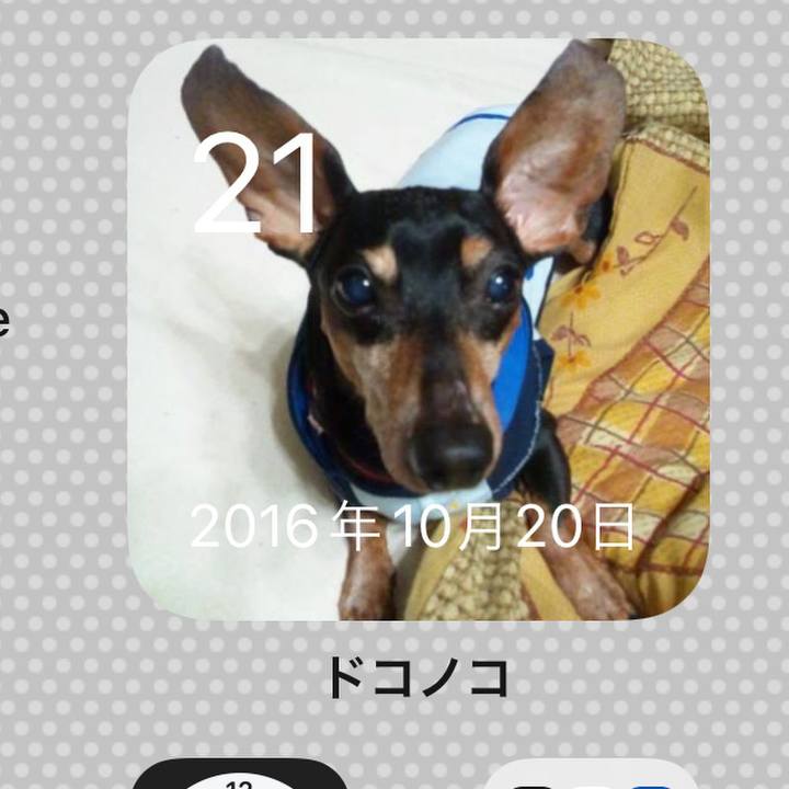 5c961afa ddae 4520 843d 250865566a2d 1634809851844