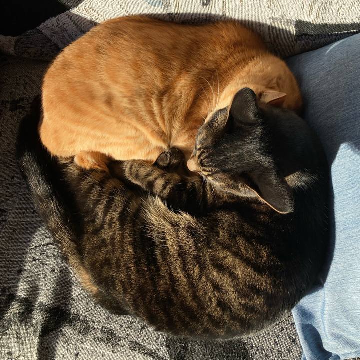 5c964f8b c11b 4de2 a4e3 99195d666d25 1670628668118