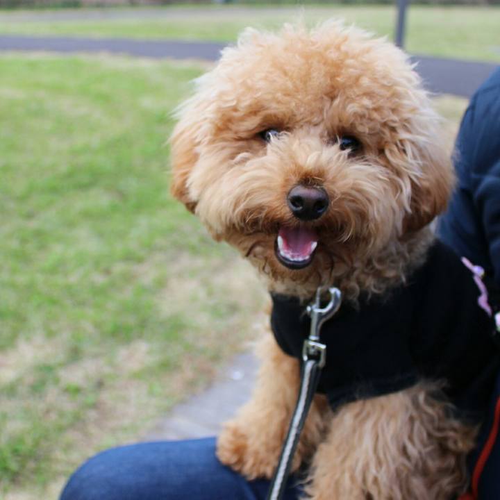 5c96694d d6e0 41a8 be13 3d869e6a166d 1511873483761