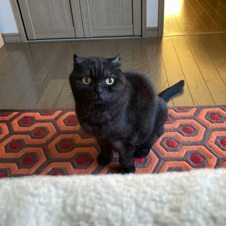 5c96694e 5649 4c94 bf9d b7a1a4e73c54 1606440782976