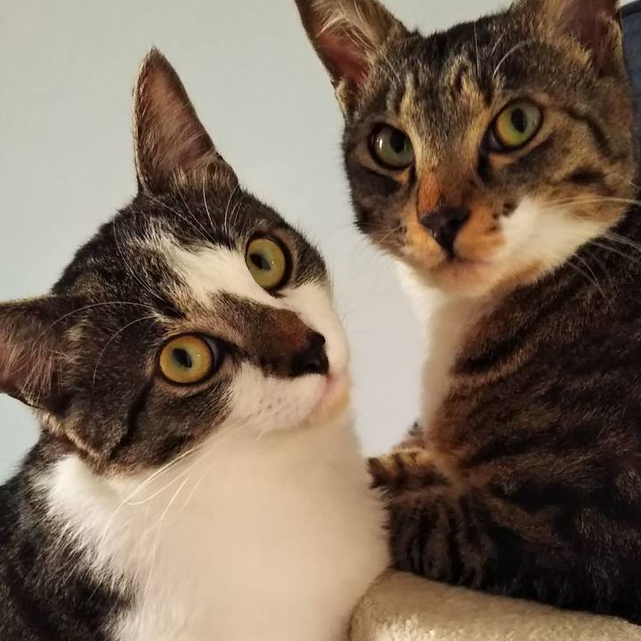 5c967699 9b8d 49fb 97ed 5f749582a94d 1641421932946