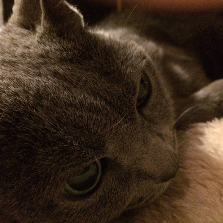 5c96c2ae 546e 4d62 b59f 08da8a22c2a1 1542288684208