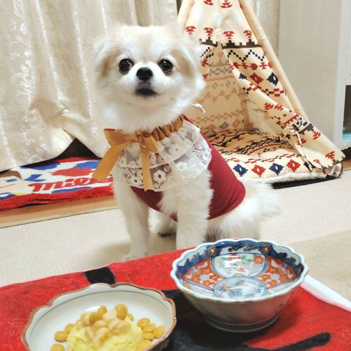 5c96d563 1186 4368 bc9d 80882b5384bf 1758291144591