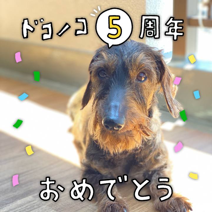 5c97541f c89f 496b 8d46 e22c1a2a637d 1623293723201