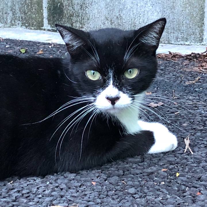 5c97de33 6d6f 4955 89ba 4aa9a5980d3c 1534968158844