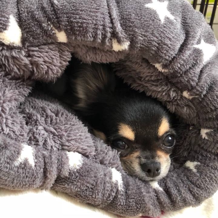 5c983736 98bb 4296 9cc3 605ac1d8e229 1546159091692