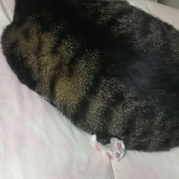 5c984108 44cb 4850 be8c 80c24c3ddee1 1629731251466