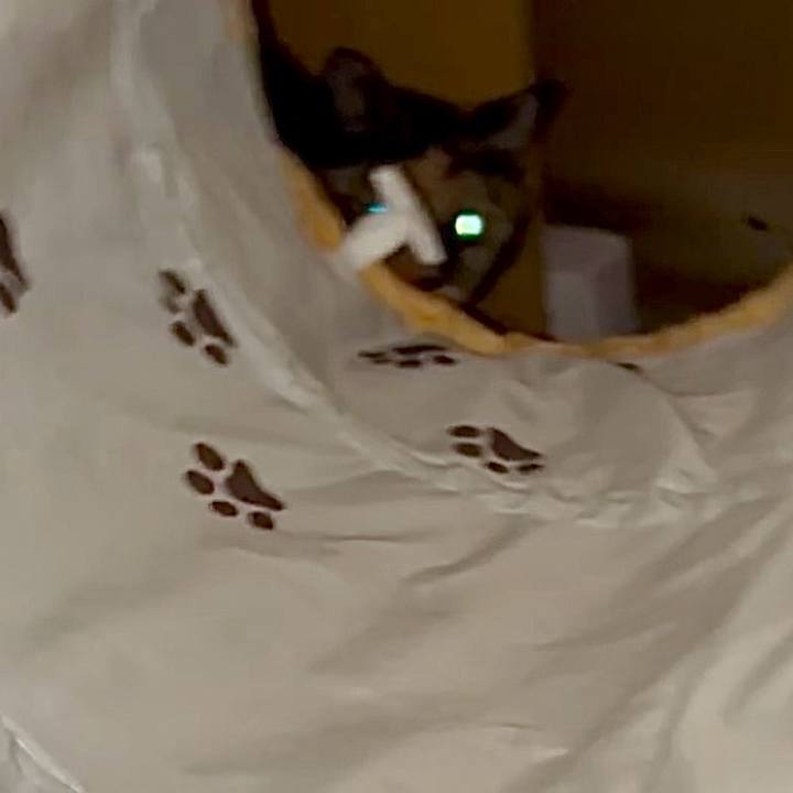 5c9864a9 c344 4d71 9753 36f59ccb2d3f 1759870716836