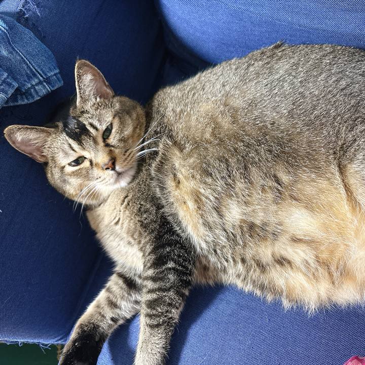 5c989670 97e1 480b 8115 670f8d7b636a 1759074436279