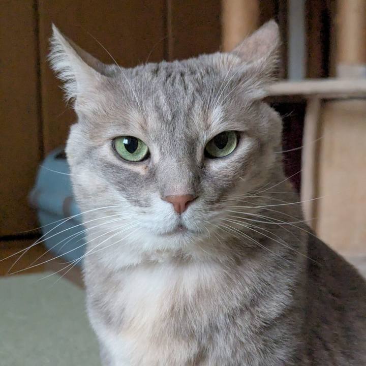 5c98aef8 0387 4521 b770 429d015bd2a9 1774528199560