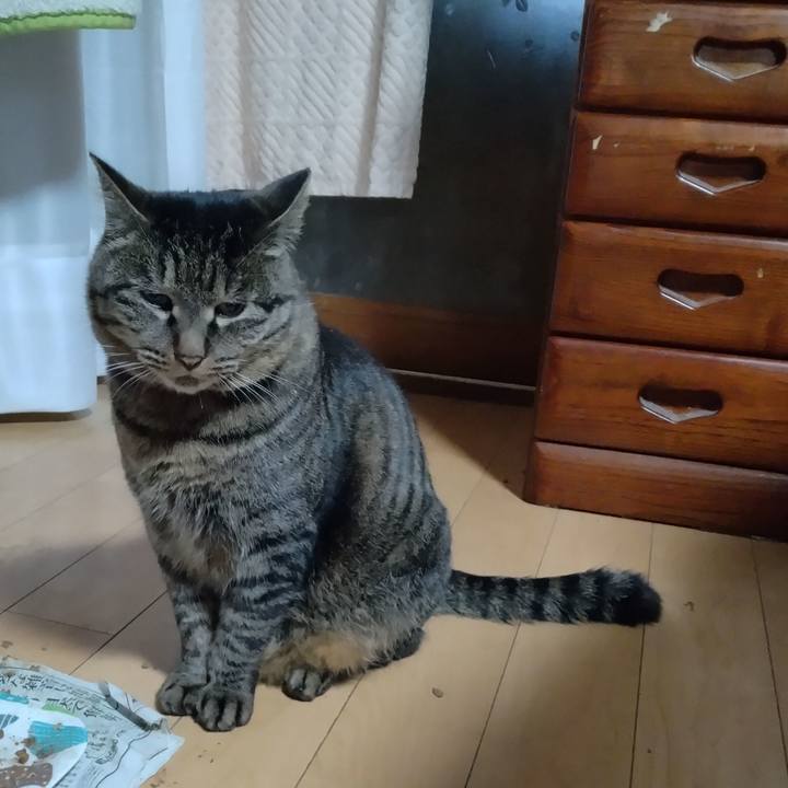 5c98efc7 0a45 4c3e 8266 7ca7756589fa 1672354774803