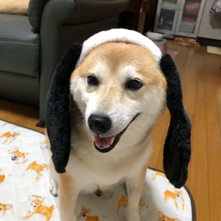 5c9922a7 d9fe 4c79 a4b1 71ad710a1a75 1568265292552