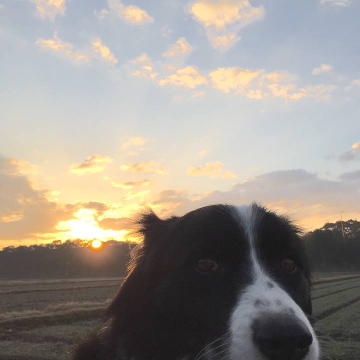 5c992cce ff92 422a 9766 d44c54446f80 1515192840207