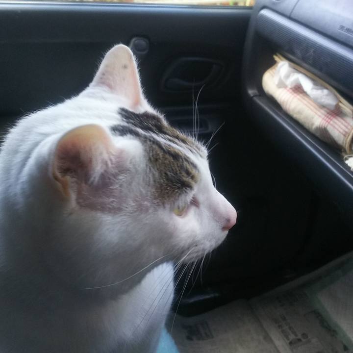 5c9979cb 7d27 4a3b 8d9c 8862541a46f1 1552536956664