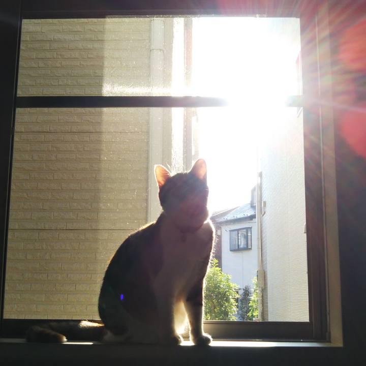 5c997fc2 1799 4f8c ba32 e36bc4c61131 1651966217096