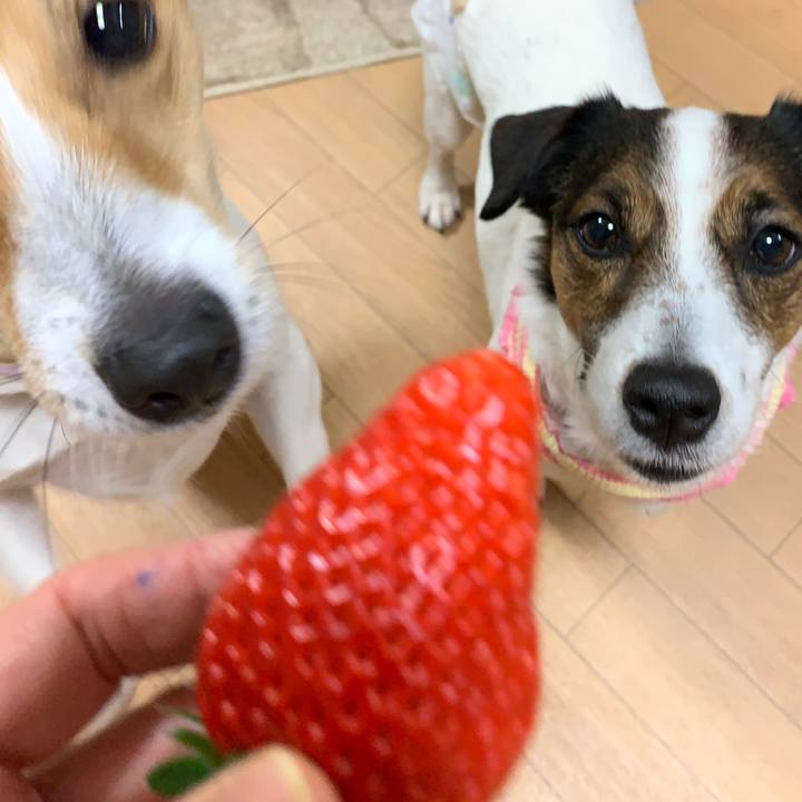 5c998d28 b4c5 46e1 ab21 69a8bd2bcbd2 1581589652834