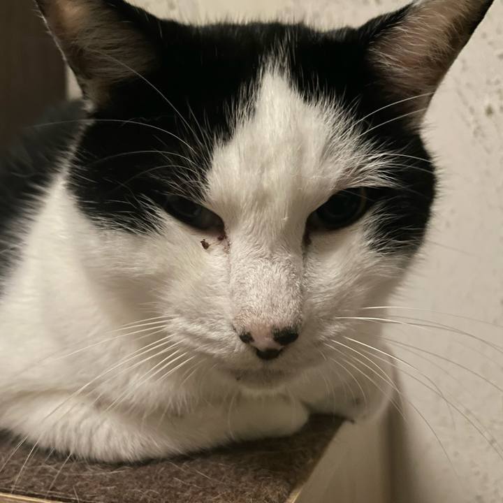 5c9993c6 a460 40da 9e4b 257003a6b321 1730813323376