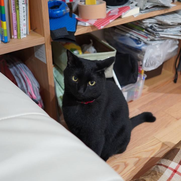 5c99c618 d171 4819 bd10 bb2a4dfeb93f 1592836552178