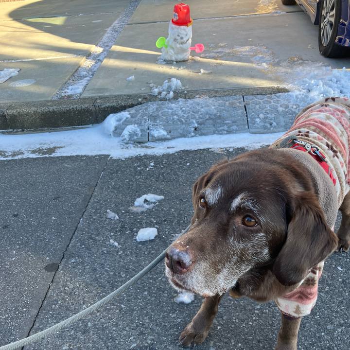 5c99cf73 1637 4700 a1ba 9b2286f09b2a 1770599661837