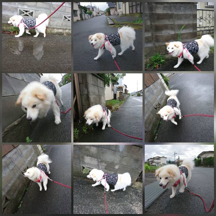 5c99d43a 7786 473e a758 59d2df219699 1533765001265