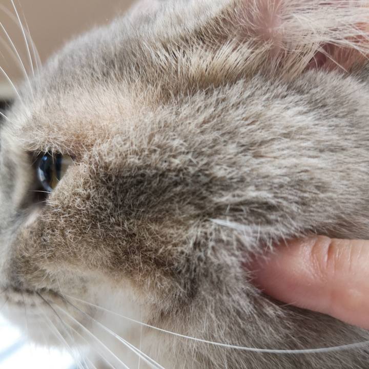 5c99fc25 482f 4adc 8b80 038e0baa904f 1571905335346